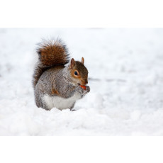 게시물 정리 플러그인